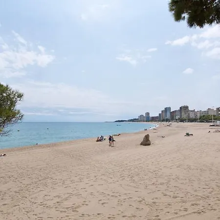Medplaya Monterrey Szálloda 4*