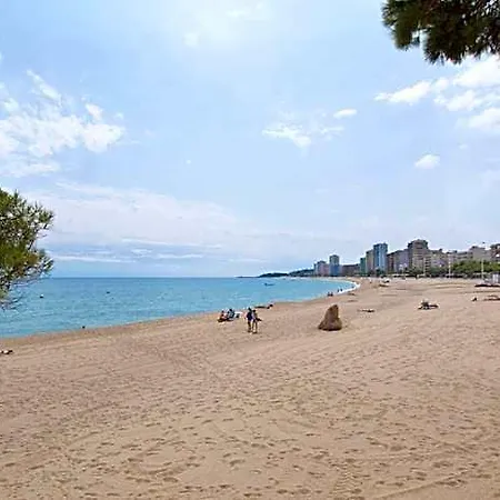 Medplaya Monterrey ホテル プラヤ・デアロ