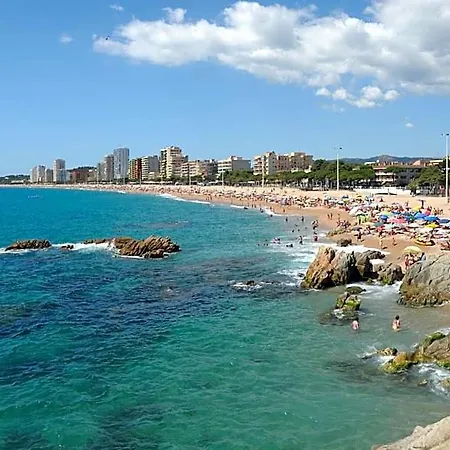ホテル Medplaya Monterrey プラヤ・デアロ